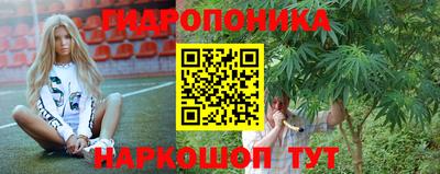 стафф Аргун