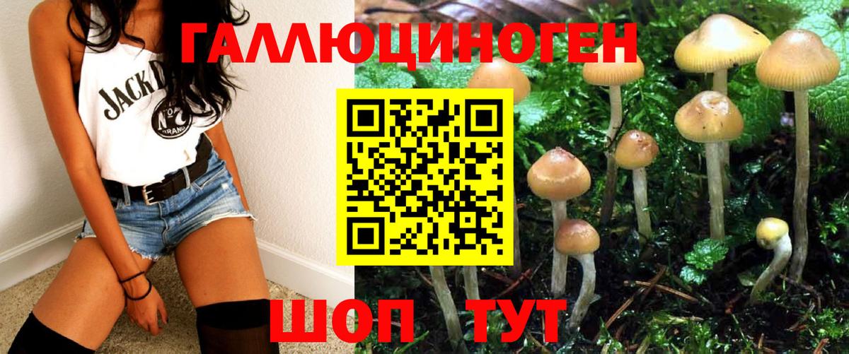 Псилоцибиновые грибы GOLDEN TEACHER Братск