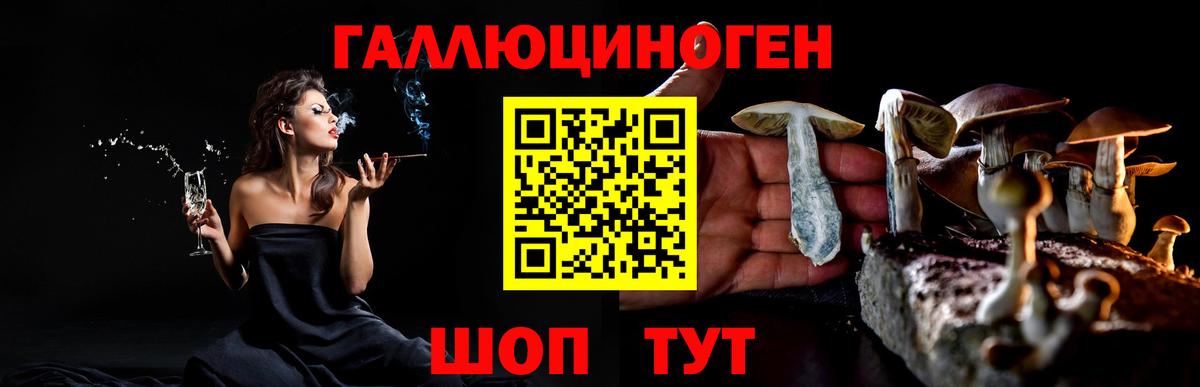 Братск  хочу наркоту  Вход с VPN  Псилоцибиновые грибы Psilocybine cubensis  Галлюциногенные грибы GOLDEN TEACHER 